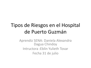 Riesgos en Hospital de Puerto Guzm&aacute;n: Factores F&iacute;sicos, Qu&iacute;micos, Biol&oacute;gicos y Ergon&oacute;micos