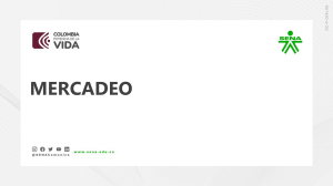 Acciones Estrat&eacute;gicas de Mercadeo: Plan y Segmentaci&oacute;n