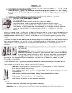 Anatom&iacute;a de Premolares: Gu&iacute;a de Estudio Odontolog&iacute;a