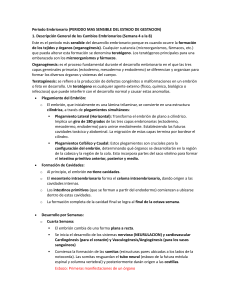 Desarrollo Embrionario: Semana 4-8 | Guía de Estudio