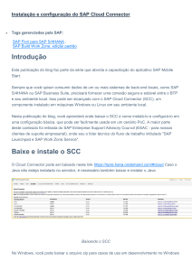 Instala&ccedil;&atilde;o e configura&ccedil;&atilde;o do SAP Cloud Connector