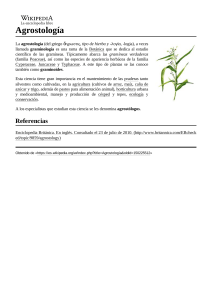 Agrostolog&iacute;a: Estudio de las Gram&iacute;neas | Bot&aacute;nica