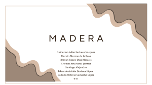 Madera: Tipos, Propiedades y Usos en la Construcci&oacute;n