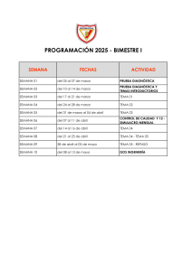 Programación 2025 - Bimestre I: Ingeniería