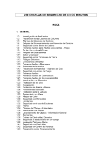 &Iacute;ndice de 250 Charlas de Seguridad: Sesiones Informativas de 5 Minutos