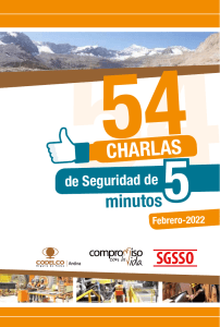 Charlas de Seguridad de 5 Minutos - Andina