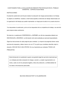 Cuestionario de Evaluación de Riesgos Psicosociales (COPSOQ)