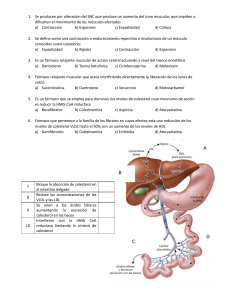 Cuestionario: Relajantes Musculares y Fármacos para Colesterol