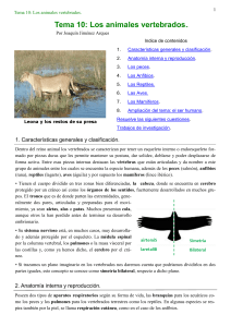 Animales Vertebrados: Apuntes de Zoología