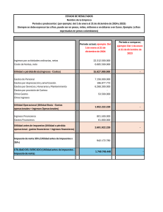 Estado de Resultados 2024: An&aacute;lisis Financiero Empresarial