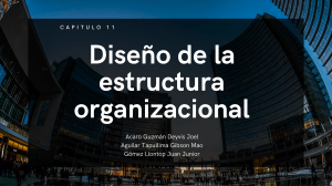 Dise&ntilde;o de la Estructura Organizacional: Presentaci&oacute;n