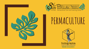 Permaculture: Principles and Design for Sustainability