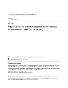 Guava Leaves: Antioxidant & Antimicrobial Activity