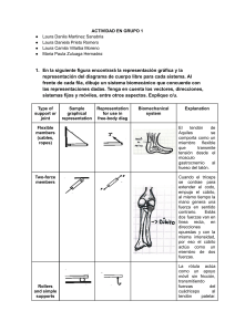 Actividad Biomec&aacute;nica: Fuerzas y Sistemas del Cuerpo Humano