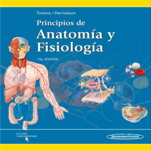 Principios de Anatomía y Fisiología, 13a Edición