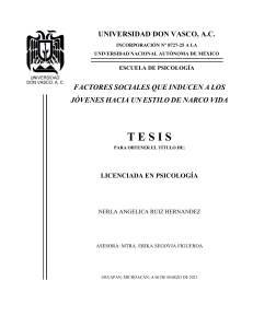 Tesis: Factores Sociales y Narco Vida en J&oacute;venes