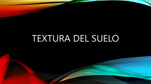 Textura del Suelo: Tipos, Características y Clasificación USDA