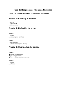 Pruebas Luz Sonido Completas Respuestas