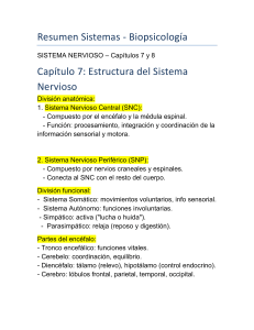 Resumen Biopsicolog&iacute;a: Sistemas Nervioso, Endocrino y M&aacute;s