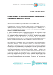 Circular T&eacute;cnica: Dise&ntilde;o Curricular Nivel Secundario DEJAyAM