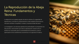 Reproducción Abeja Reina: Fundamentos y Técnicas Apícolas