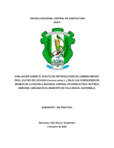 Efecto del Lombricompost en Lechuga: Tesis ENCA