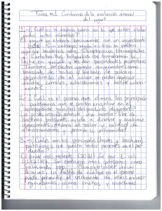 Cuestionario de Evaluaci&oacute;n Sensorial del Yogur
