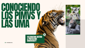 Wildlife Conservation: Protecting Biodiversity & Our Planet