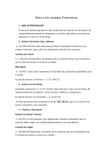Notas a los Estados Financieros: Activos, Pasivos y Patrimonio