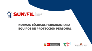 Normas T&eacute;cnicas Peruanas EPP: Cascos, Calzado, Guantes, Protecci&oacute;n Ocular