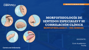 Morfofisiolog&iacute;a de Sentidos Especiales y Correlaci&oacute;n Cl&iacute;nica | Enfermer&iacute;a