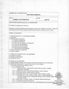 Anatom&iacute;a General: Programa de Estudios