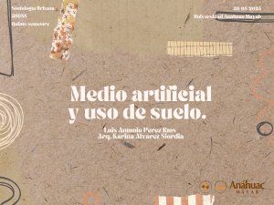 Sociolog&iacute;a Urbana: Medio Artificial, Uso de Suelo y Componentes Urbanos