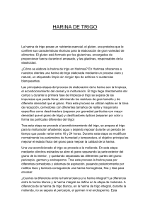 Harina de Trigo, Manzana de Agua y Lim&oacute;n: Nutrici&oacute;n y Elaboraci&oacute;n