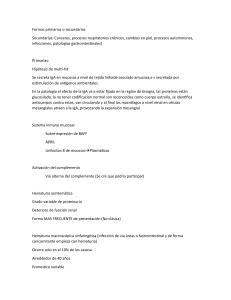 Nefropatía por IgA y Glomerulonefritis Infecciosa: Diagnóstico y Tratamiento
