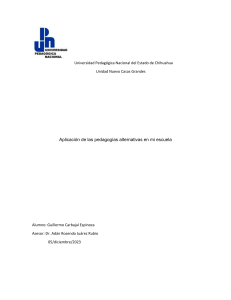 Pedagogías Alternativas en Escuelas: Un Estudio de Caso