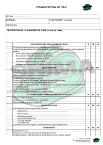 Permiso Especial de Izaje: Formulario de Seguridad