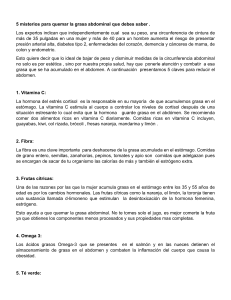 5 Claves para Quemar Grasa Abdominal: Salud, Nutrición y Bienestar