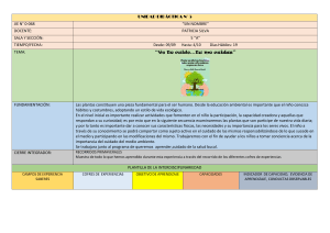 Unidad Did&aacute;ctica 5: Cuidado de Plantas y Medio Ambiente (Preescolar)