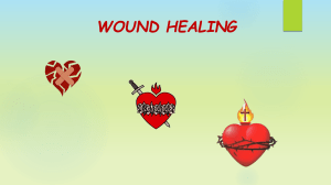 Wound Healing: A Christian Spiritual & Psychological Approach