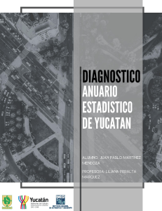 Diagn&oacute;stico Anuario Estad&iacute;stico de Yucat&aacute;n: An&aacute;lisis Urbano y Vial