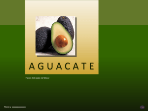 Aguacate: Beneficios y Propiedades Nutricionales