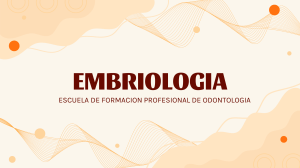 Embriología: Desarrollo Embrionario Temprano (Odontología)