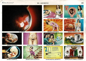 El Aborto: Tipos, Legislaci&oacute;n y Productos Abortivos