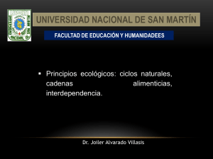 Principios Ecol&oacute;gicos: Ciclos y Cadenas Alimenticias