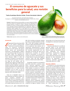 Aguacate y Salud: Revisi&oacute;n de Beneficios Nutricionales