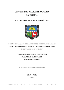 Dise&ntilde;o Hidr&aacute;ulico de Aliviadero de Demas&iacute;as para Qocha Macon 04, Carhuaz
