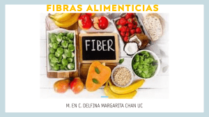 Fibras Alimenticias: Beneficios para la Salud y Prevenci&oacute;n de Enfermedades