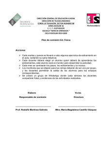Plan de Comisión Ed. Física Telesecundaria Ignacio Zaragoza 2019-2020