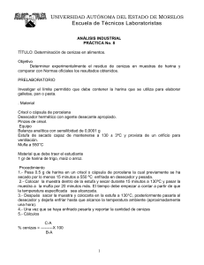 Determinación de Cenizas en Alimentos: Práctica de Laboratorio